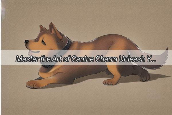 Master the Art of Canine Charm Unleash Your Dogs Full Attention with These Proven Tactics